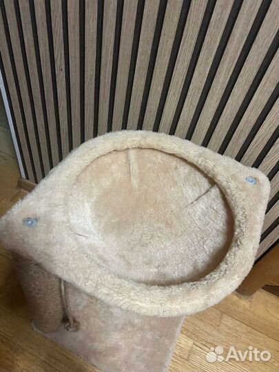 Когтеточка