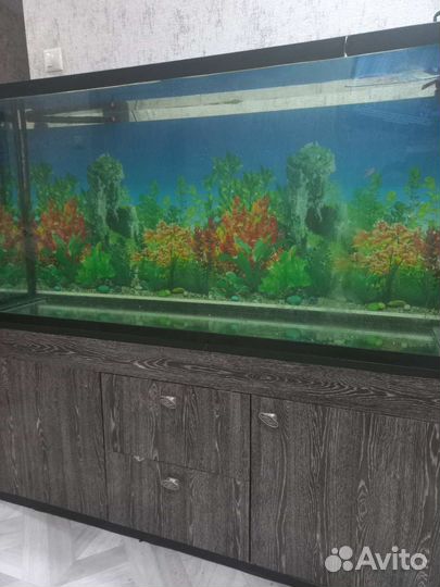 Аквариум 500 л с тумбой