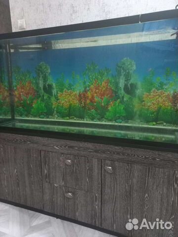 Аквариум 500 л с тумбой