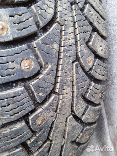 Nokian Tyres Hakkapeliitta 5 185/60 R15