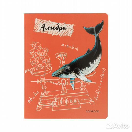 Набор тетрадей 48 листов 