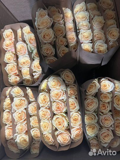 Букеты роз с доставкой. Роза 60см