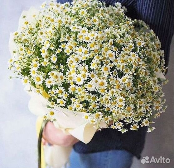 Букеты ромашек