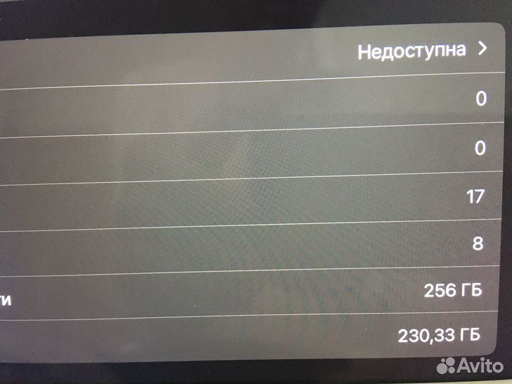 iPad pro 9,7 256 gb (золотой)