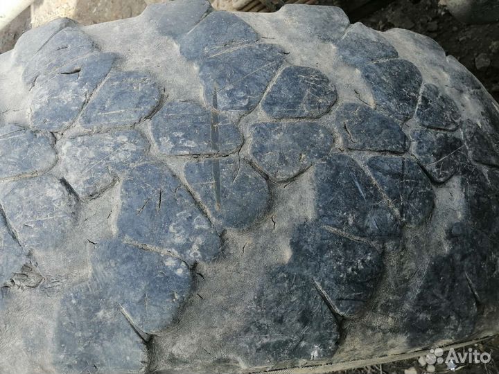 Шины и диски на камаз вездеход