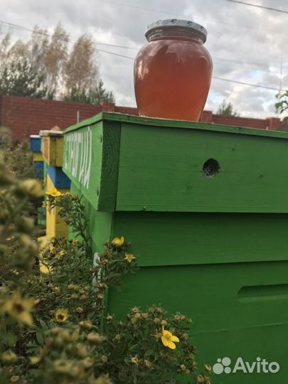 Мёд прямо с собственной пасеки