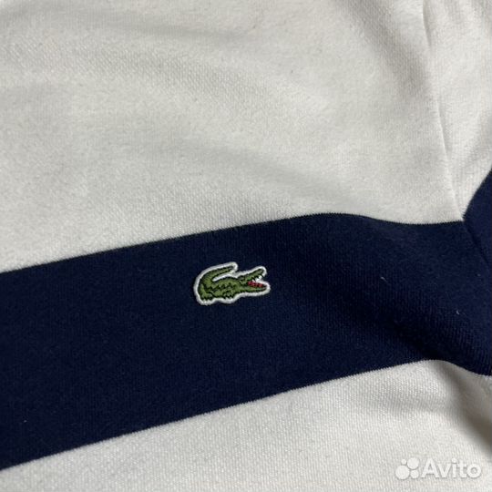 Свитшот lacoste оригинал