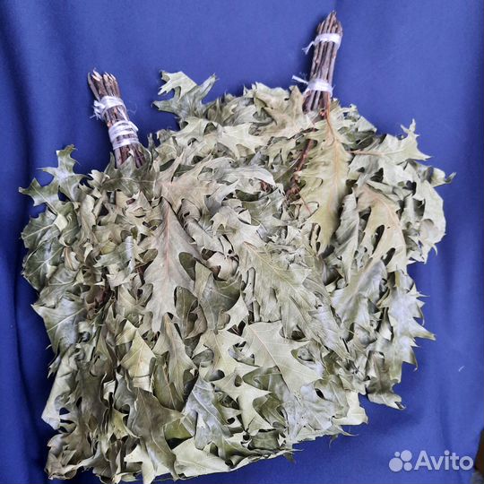 Веники для бани, канадский дуб