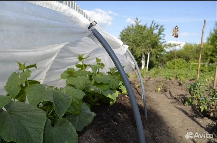 Парник для дома и дачи