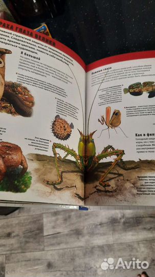 Детская энциклопедия