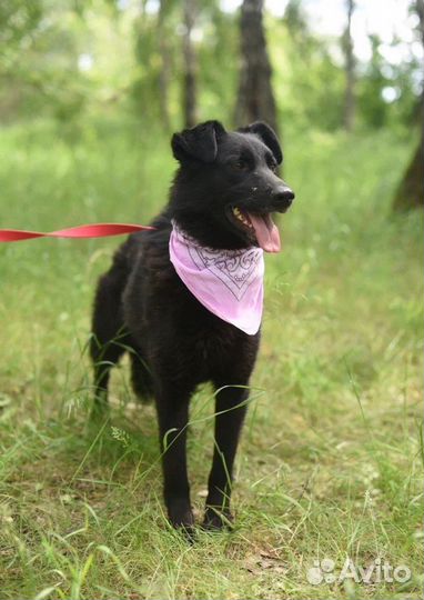 Лиз.Только посмотрите на неё