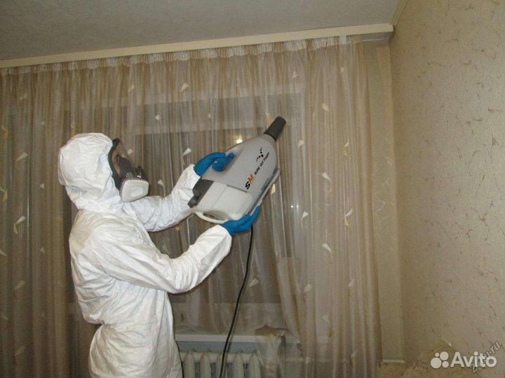 Уничтожение Тараканов Клопов Клещей Муравьев Ос