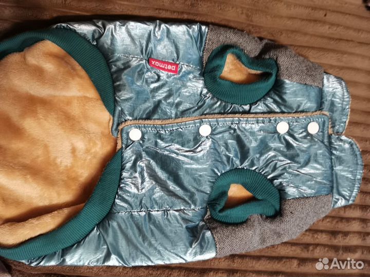 Одежда для маленьких собак б/у