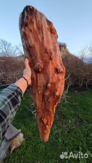 Дрифтвуд Даборатория