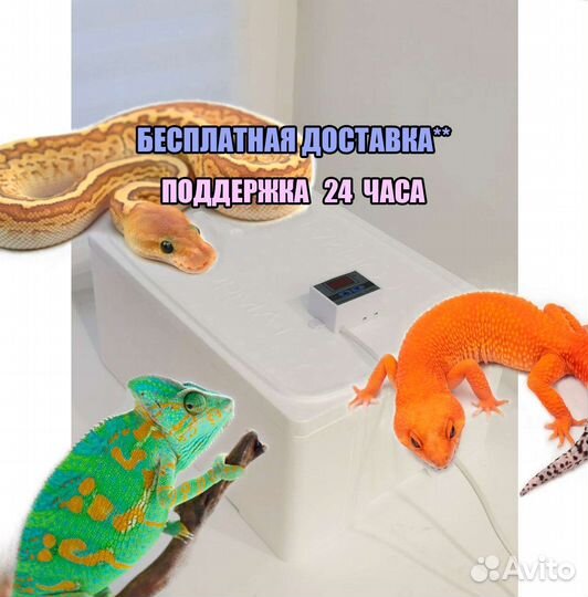 Инкубатор для рептилий
