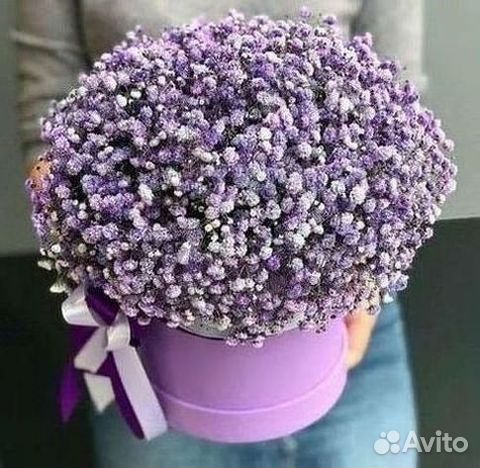 Гипсофила букет доставка