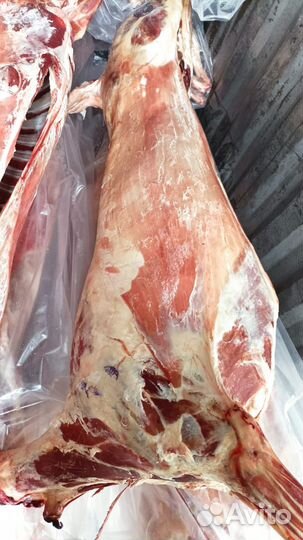 Баранина оптом