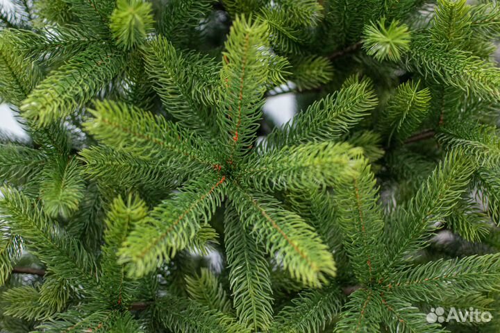 Новогодняя елка литая Иркутская в опт и розницу