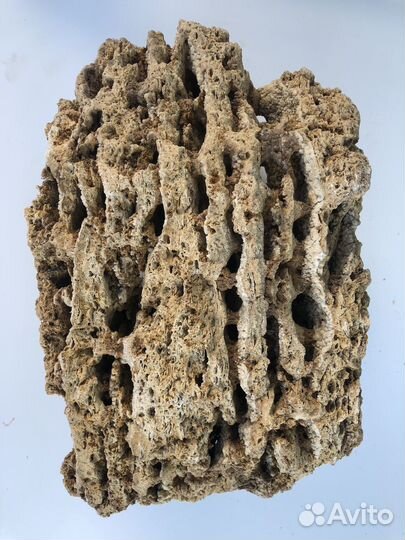 Декор для аквариума