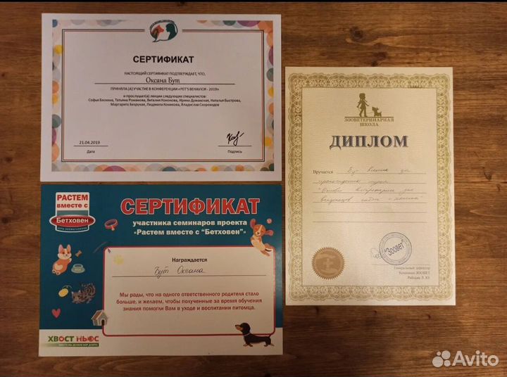 Передержка собаки в загородном доме