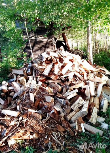 Дрова любые, в наличии