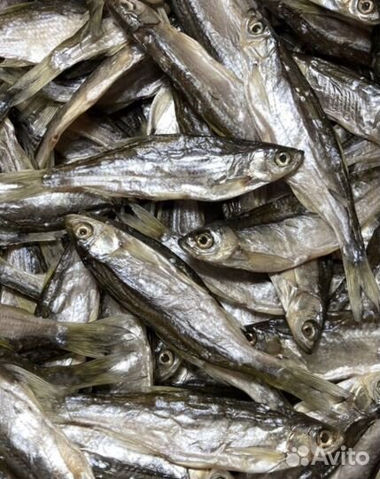 Вяленая рыба с цеха