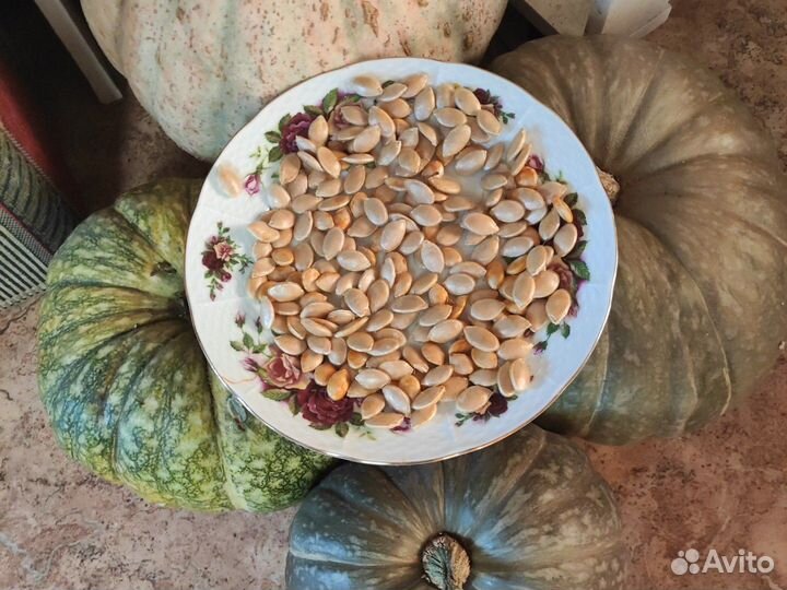 Тыква Розовый банан,кабачки