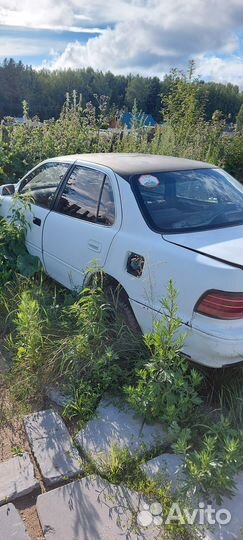Toyota camry 30