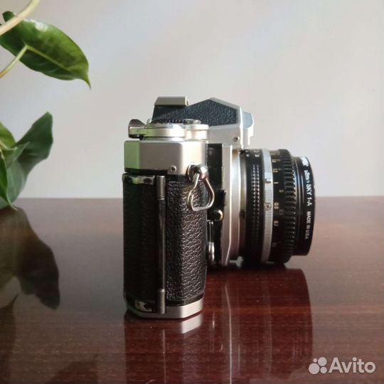 Nikon FM + Nikkor 50 1.8