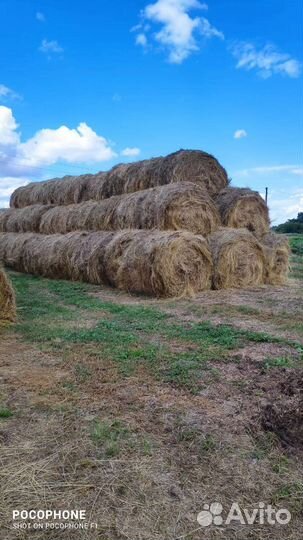 Сено луговое в рулонах