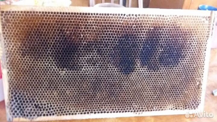 Рамки рута бу со старой сушью