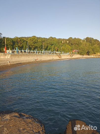 Отдых на черном море