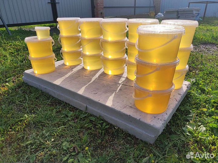 Мёд 2023, белая акация