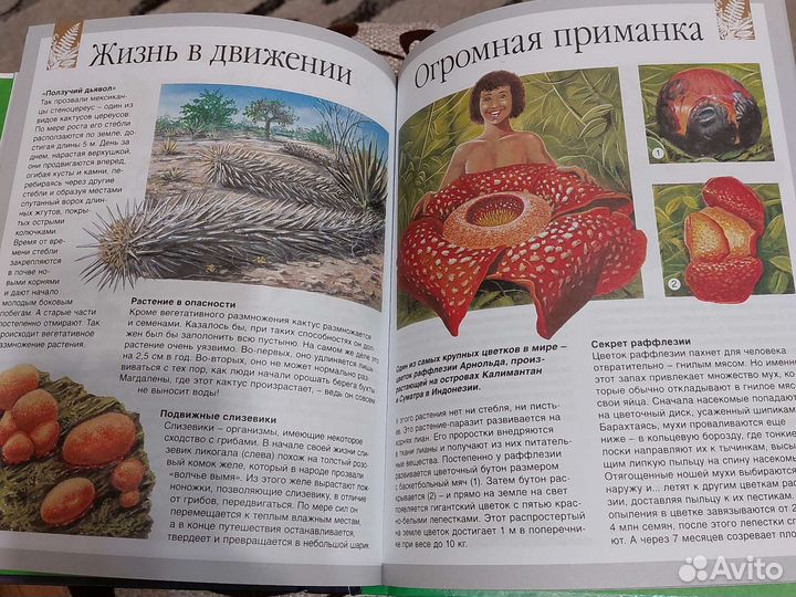 Энциклопедия Секреты природы