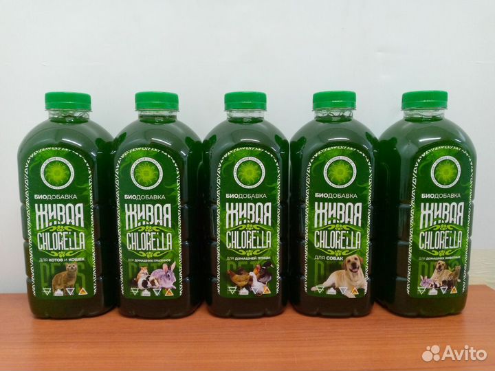 Биодобавка микроводоросль Хлорелла живая