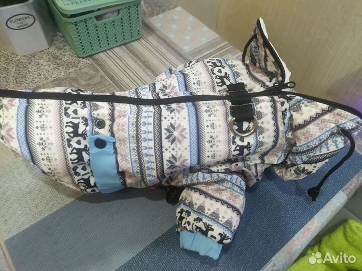 Одежда для собак мелких пород