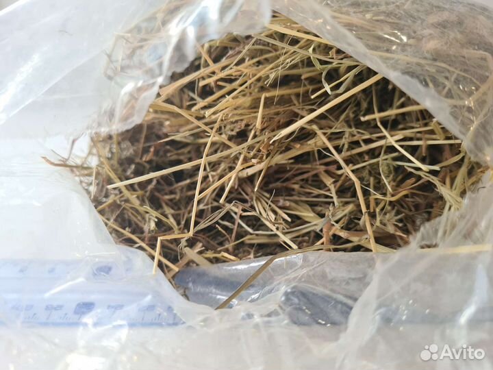 Бронь. Сено, 20 л, разнотравье, для животных