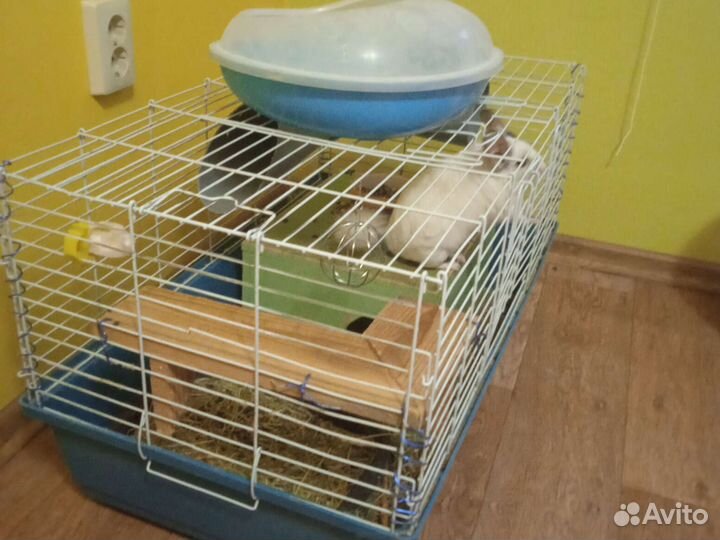 Клетка для кролика или шиншиллы