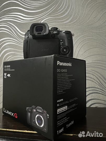 Беезеркальная камера Panasonic Lumix GH5S