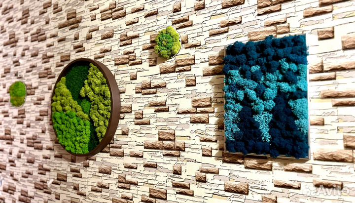 Панно из микса мхов