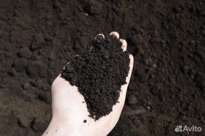 Чернозем / грунт плодородный с доставкой