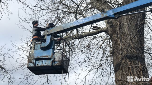 Спил деревьев Корчевка Расчистка участков объявление продам