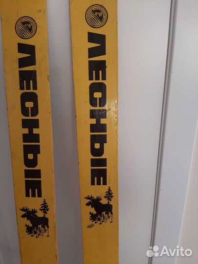 Лыжи лесные