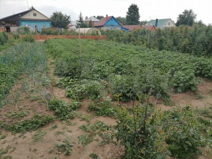 Участок 6,5 сот. (ИЖС)