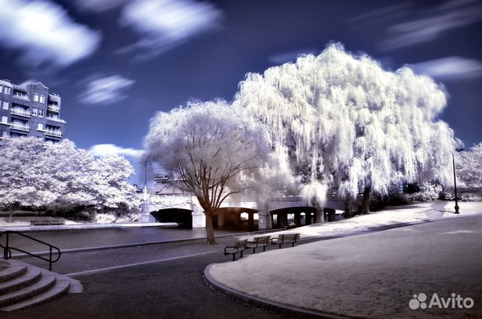 Canon 50D для ик съёмки