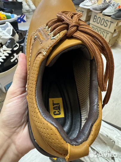 Ботинки осенние cat