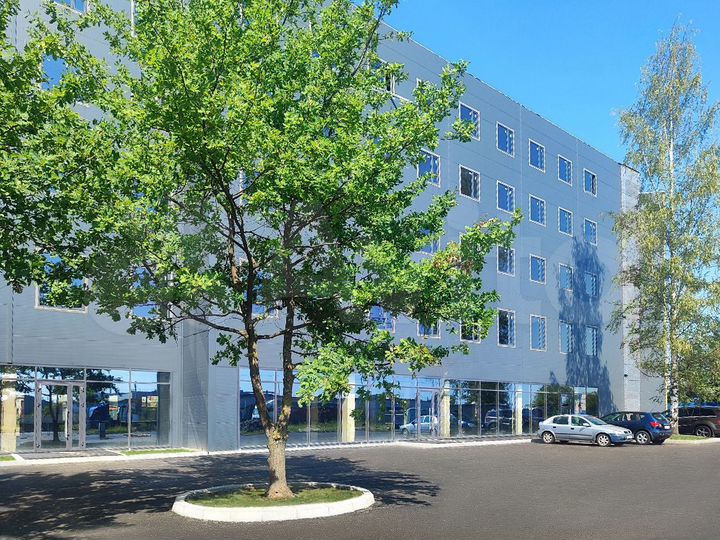 Торговая площадь, 448 м²