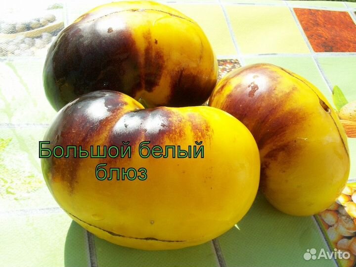 Семена коллекционных томатов