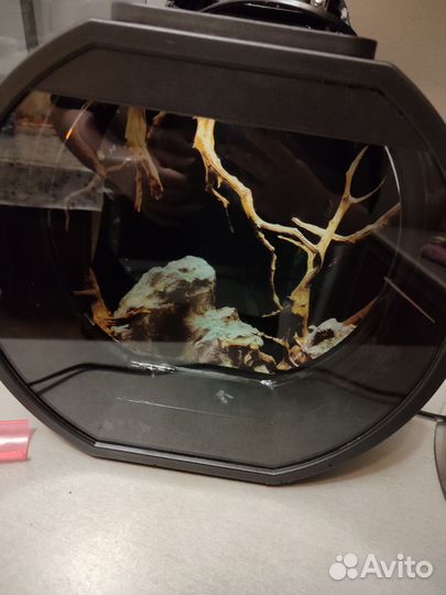 Аквариум 10л