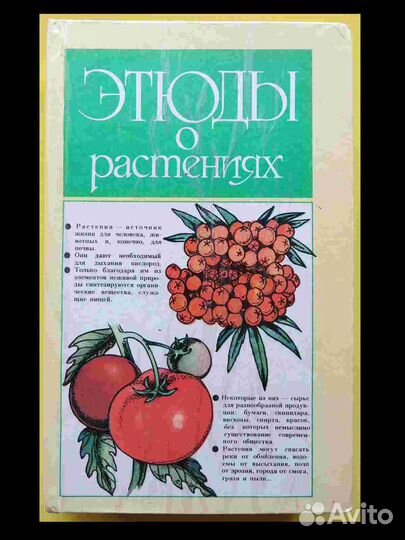 Этюды о растениях. Кайнар 1986